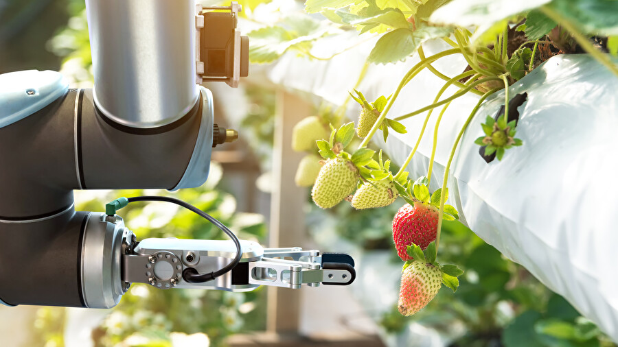 Smart Food Production