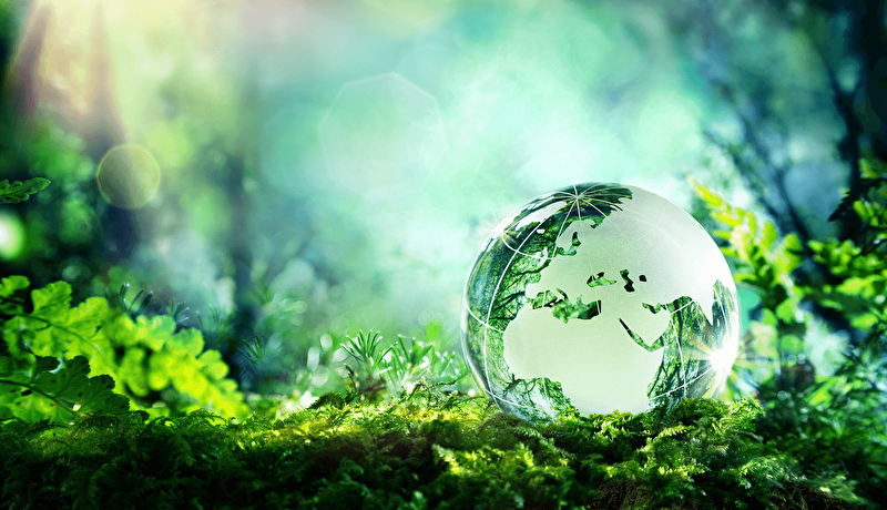 Take Control Over Your Carbon Footprint