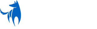 Bright Wolf  Logo