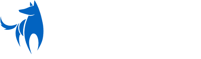 Bright Wolf  Logo