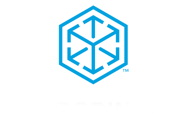 C.H. Robinson Logo