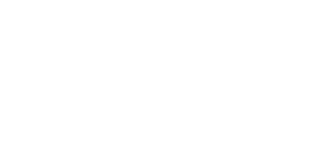 Insight Logo